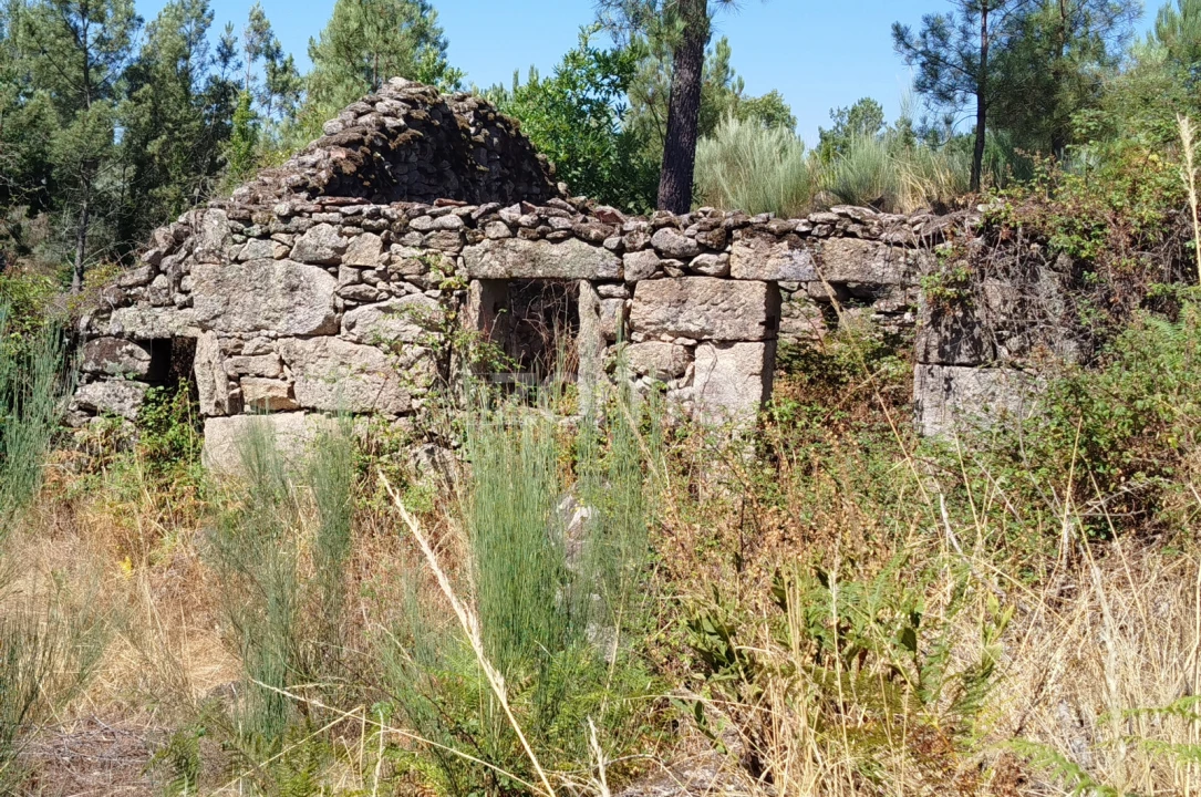 Terreno para Venda em Abrunhosa-A-Velha Foto 33