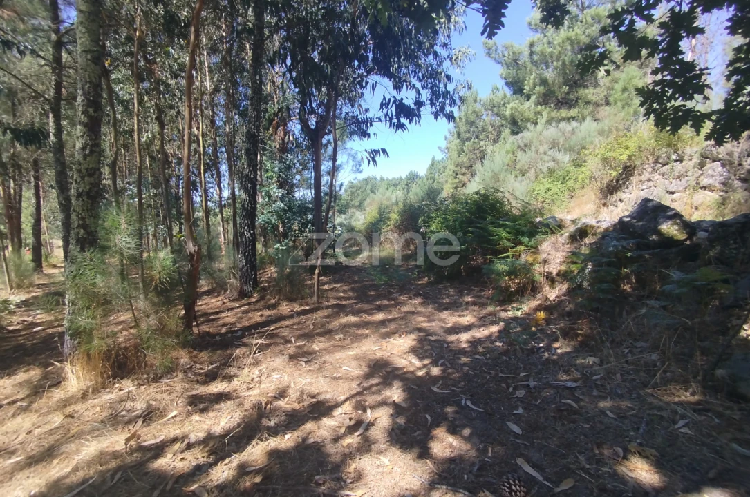 Terreno para Venda em Abrunhosa-A-Velha Foto 41