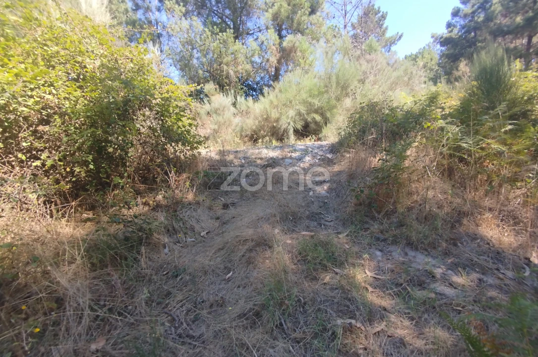 Terreno para Venda em Abrunhosa-A-Velha Foto 40