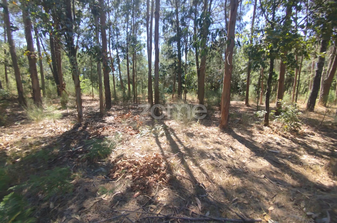 Terreno para Venda em Abrunhosa-A-Velha Foto 45