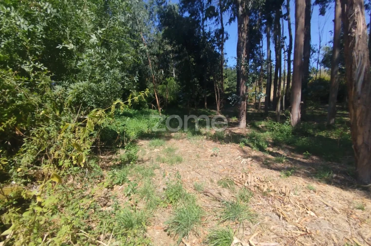 Terreno para Venda em Abrunhosa-A-Velha Foto 21