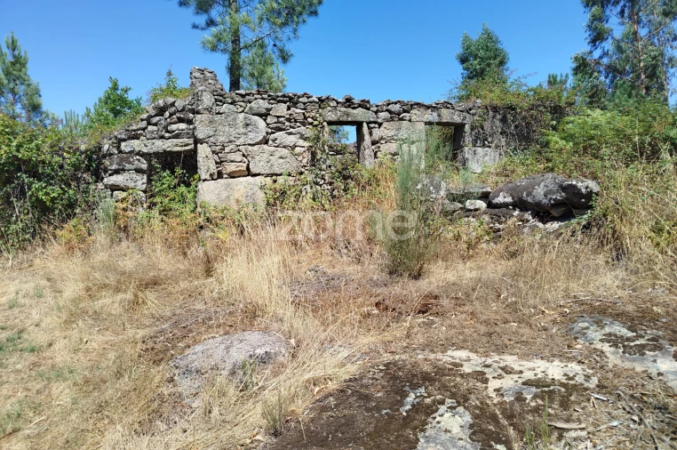 Terreno para Venda em Abrunhosa-A-Velha Foto 26