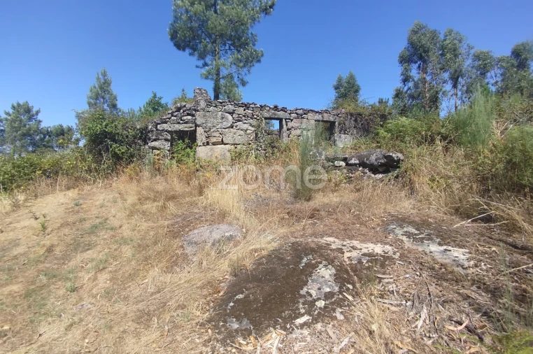 Terreno para Venda em Abrunhosa-A-Velha Foto 24
