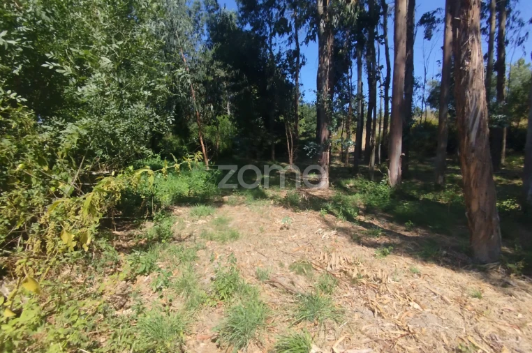 Terreno para Venda em Abrunhosa-A-Velha Foto 27