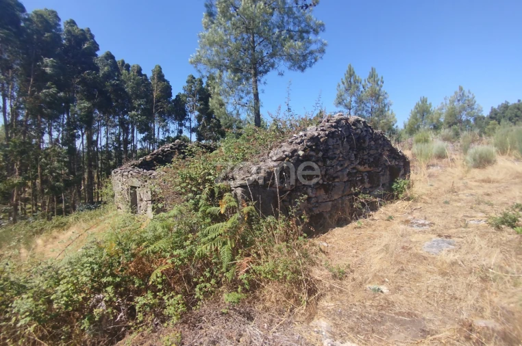Terreno para Venda em Abrunhosa-A-Velha Foto 30