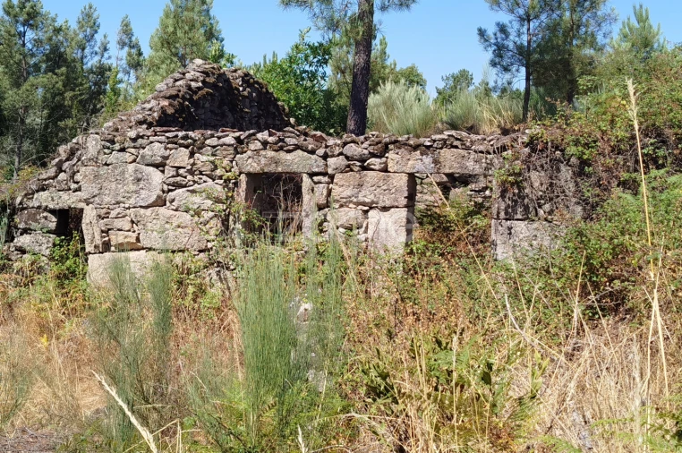 Terreno para Venda em Abrunhosa-A-Velha