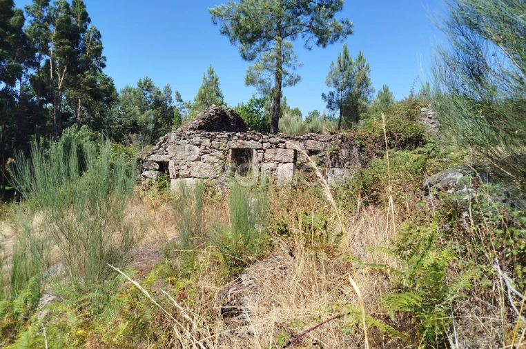 Terreno para Venda em Abrunhosa-A-Velha Foto 31