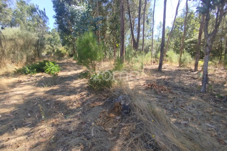 Terreno para Venda em Abrunhosa-A-Velha Foto 35