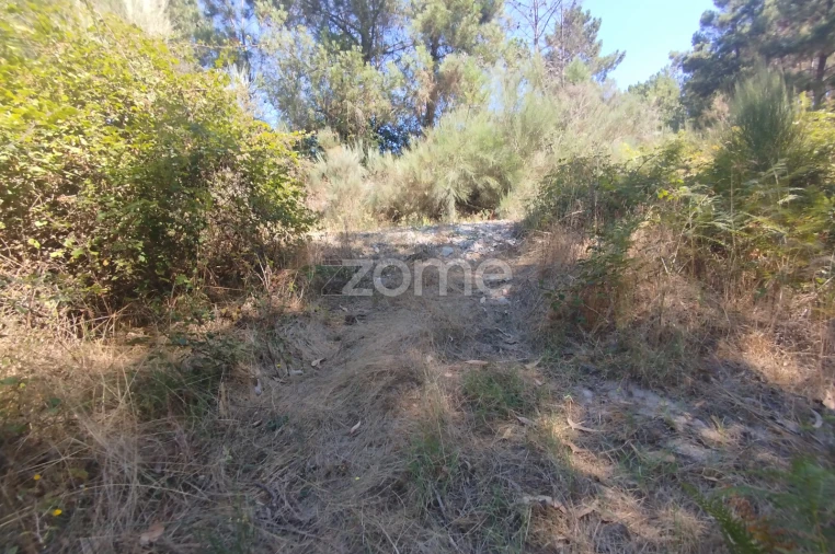 Terreno para Venda em Abrunhosa-A-Velha Foto 39