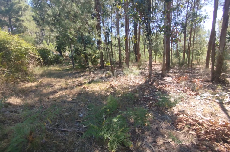 Terreno para Venda em Abrunhosa-A-Velha Foto 41