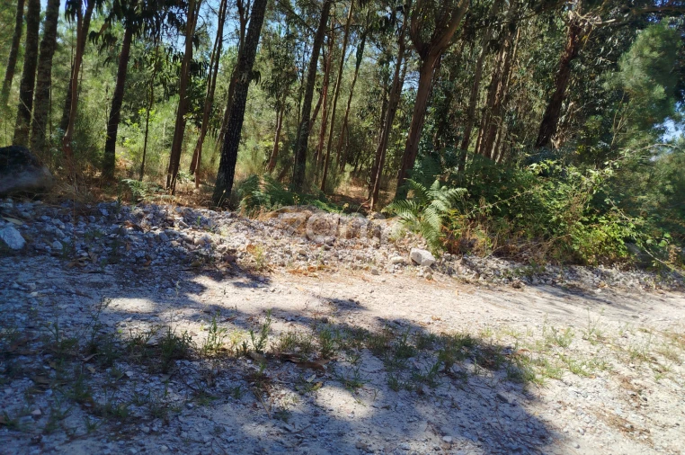 Terreno para Venda em Abrunhosa-A-Velha Foto 46