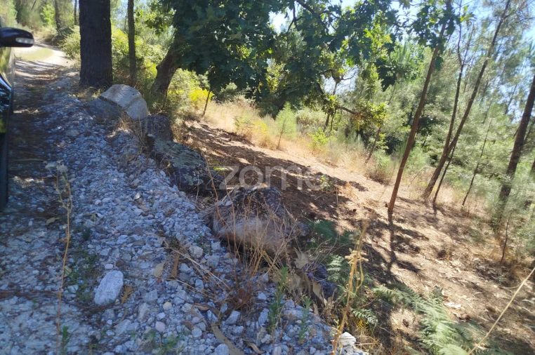Terreno para Venda em Abrunhosa-A-Velha Foto 43