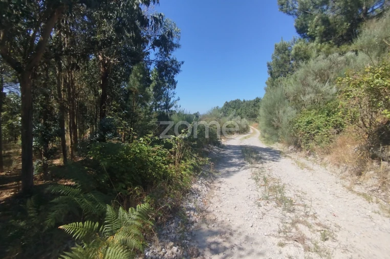 Terreno para Venda em Abrunhosa-A-Velha Foto 47