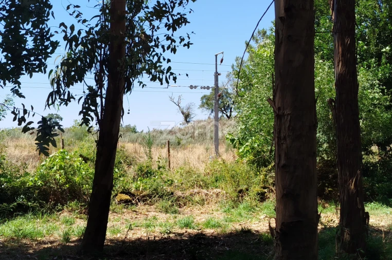 Terreno para Venda em Abrunhosa-A-Velha Foto 10
