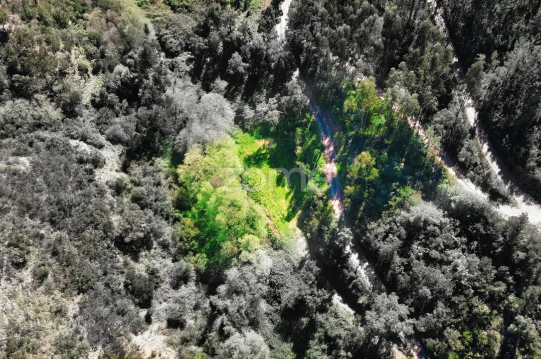 Terreno para Venda em Monchique Foto 32