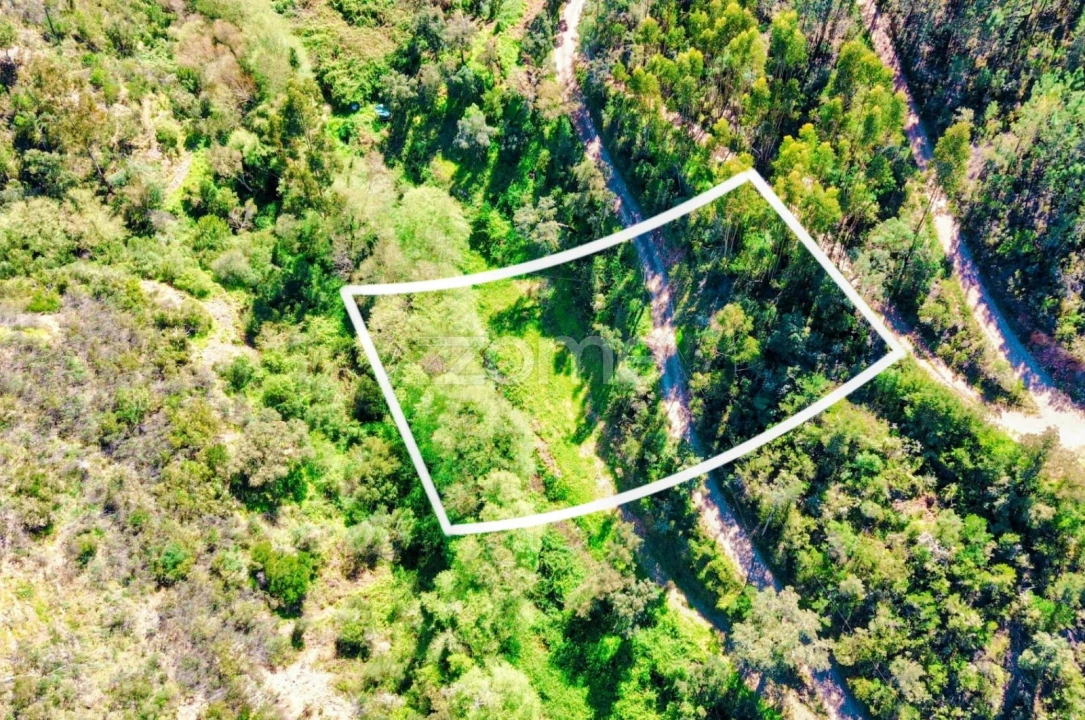 Terreno para Venda em Monchique Foto 33