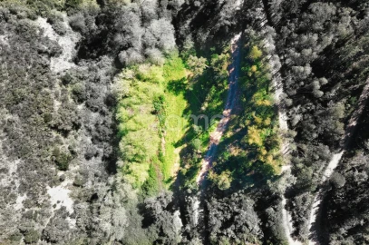 Terreno para Venda em Monchique
