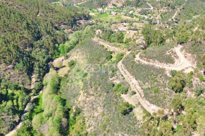 Terreno para Venda em Monchique