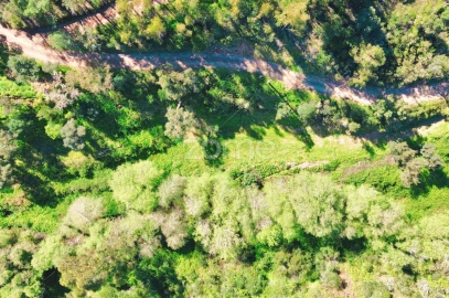 Terreno para Venda em Monchique