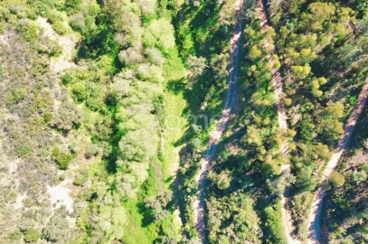 Terreno para Venda em Monchique