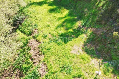 Terreno para Venda em Monchique