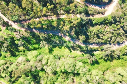 Terreno para Venda em Monchique