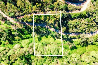 Terreno para Venda em Monchique
