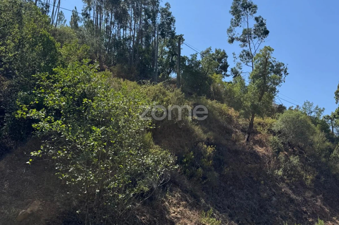 Terreno para Venda em Monchique Foto 6