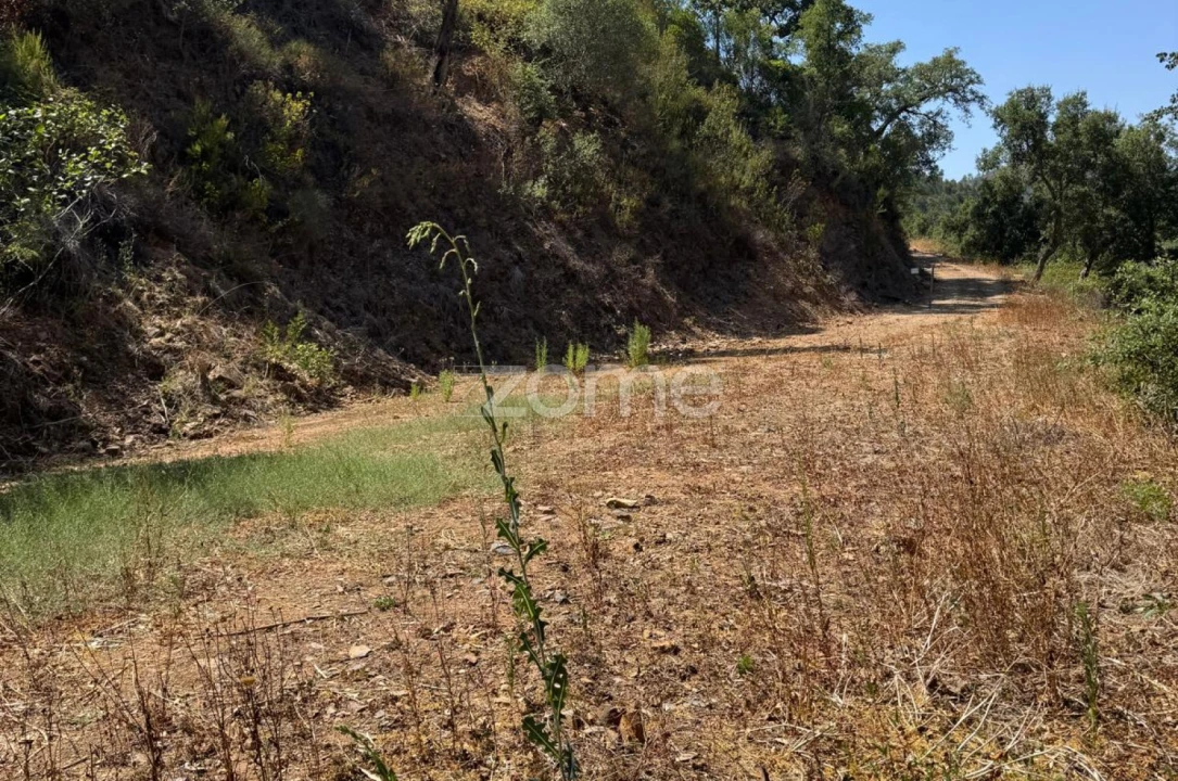 Terreno para Venda em Monchique Foto 1