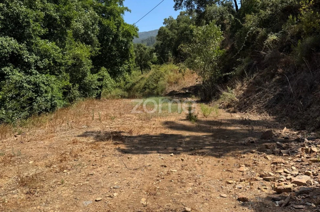 Terreno para Venda em Monchique Foto 7