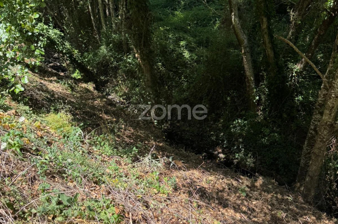 Terreno para Venda em Monchique Foto 8