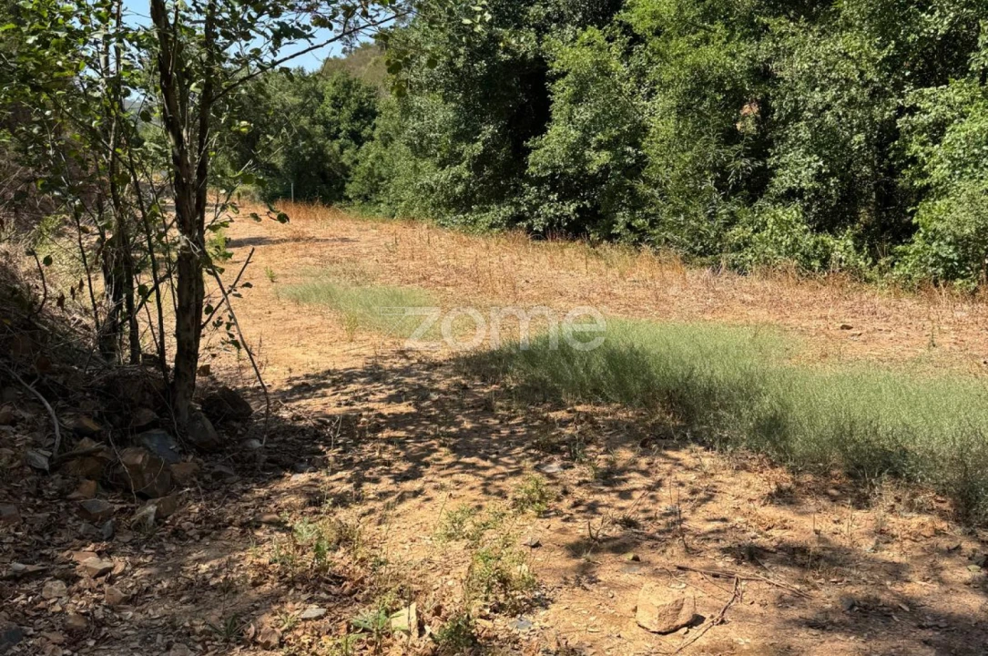 Terreno para Venda em Monchique Foto 2