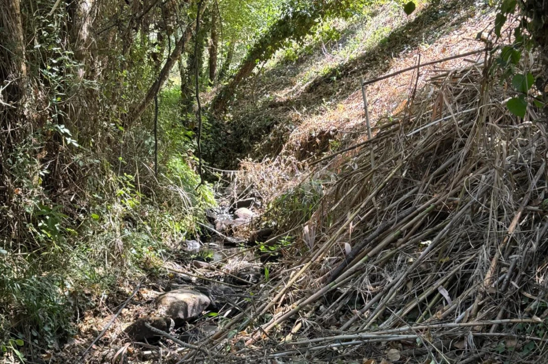 Terreno para Venda em Monchique Foto 9