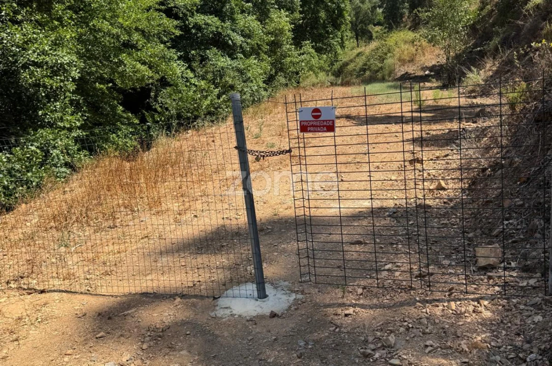 Terreno para Venda em Monchique Foto 5