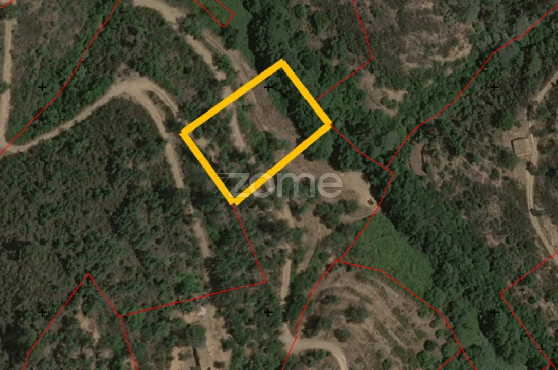 Terreno para Venda em Monchique Foto 23