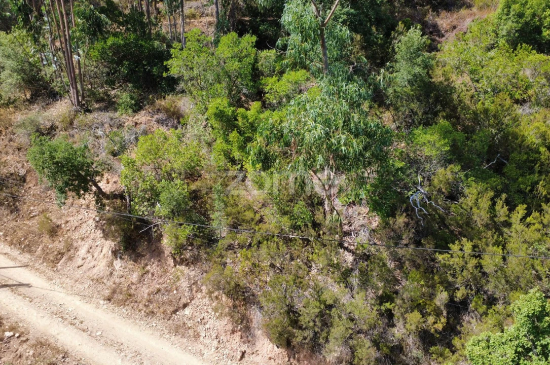 Terreno para Venda em Monchique Foto 13