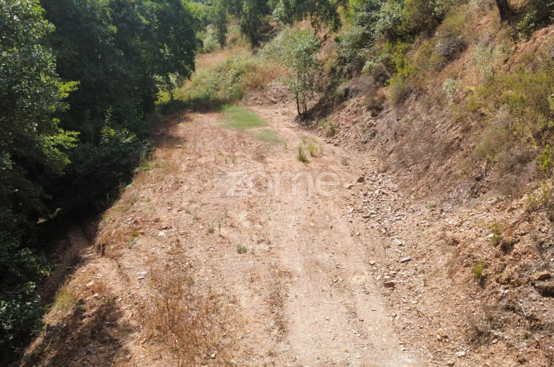 Terreno para Venda em Monchique Foto 17