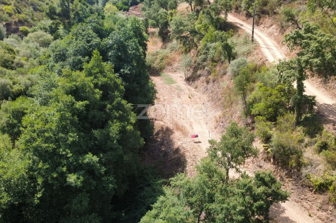 Terreno para Venda em Monchique Foto 18