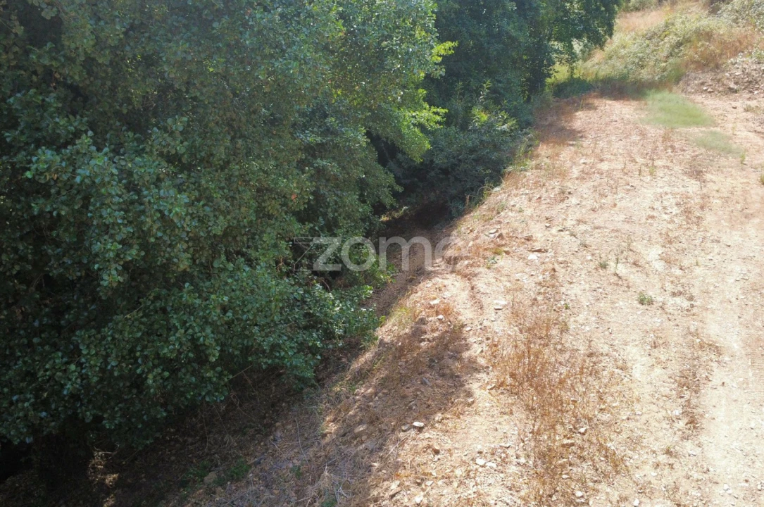 Terreno para Venda em Monchique Foto 19