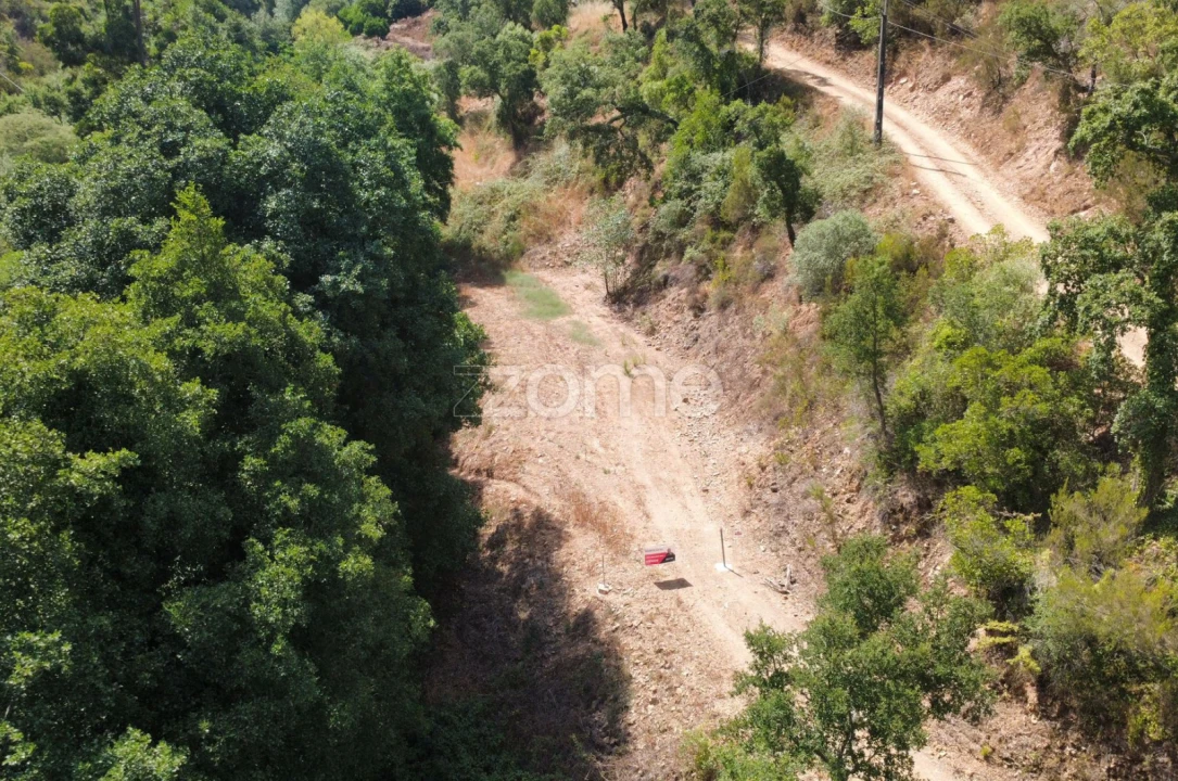 Terreno para Venda em Monchique Foto 20