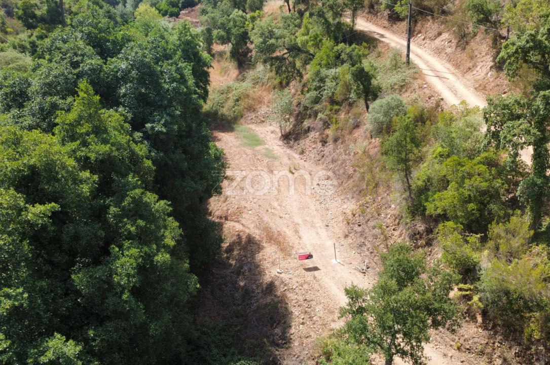 Terreno para Venda em Monchique Foto 21