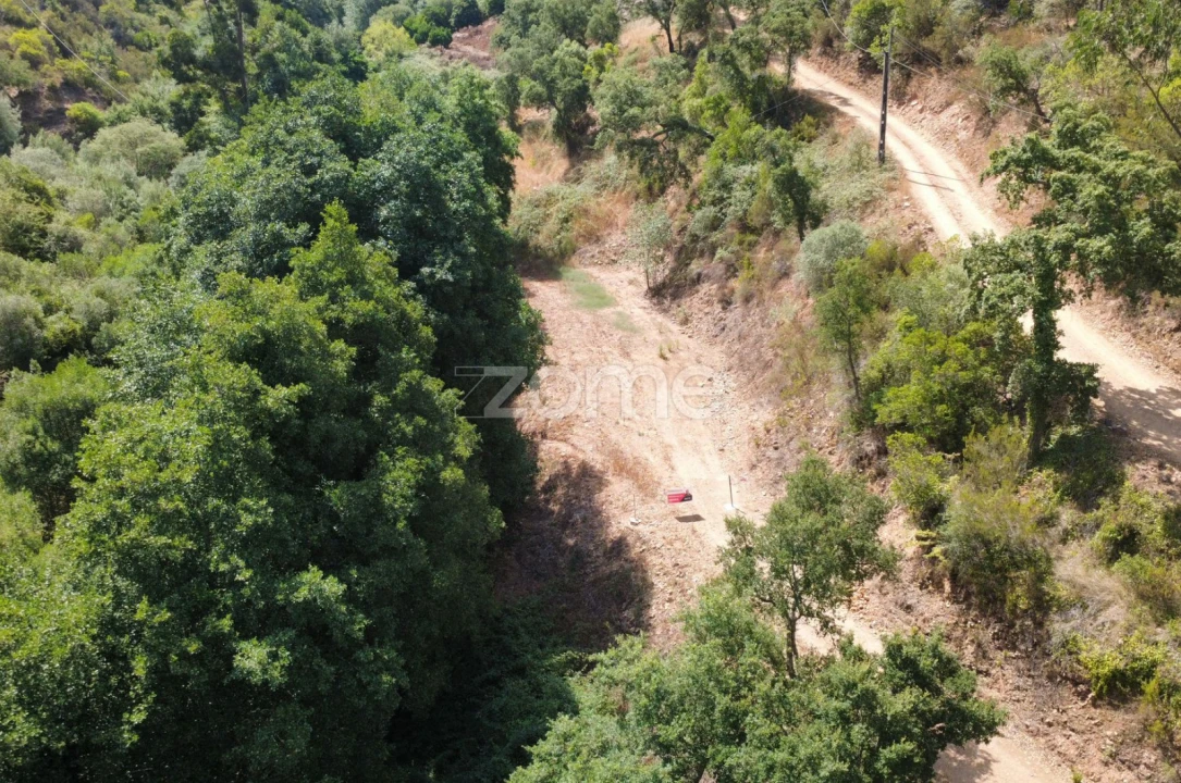 Terreno para Venda em Monchique Foto 22