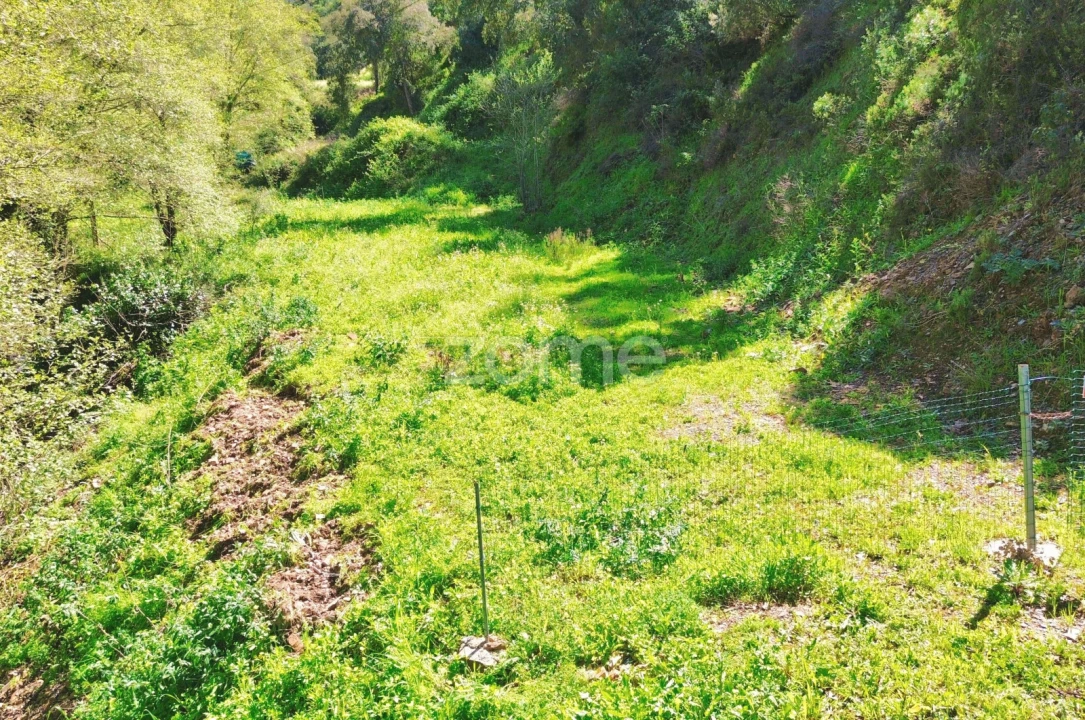 Terreno para Venda em Monchique Foto 3