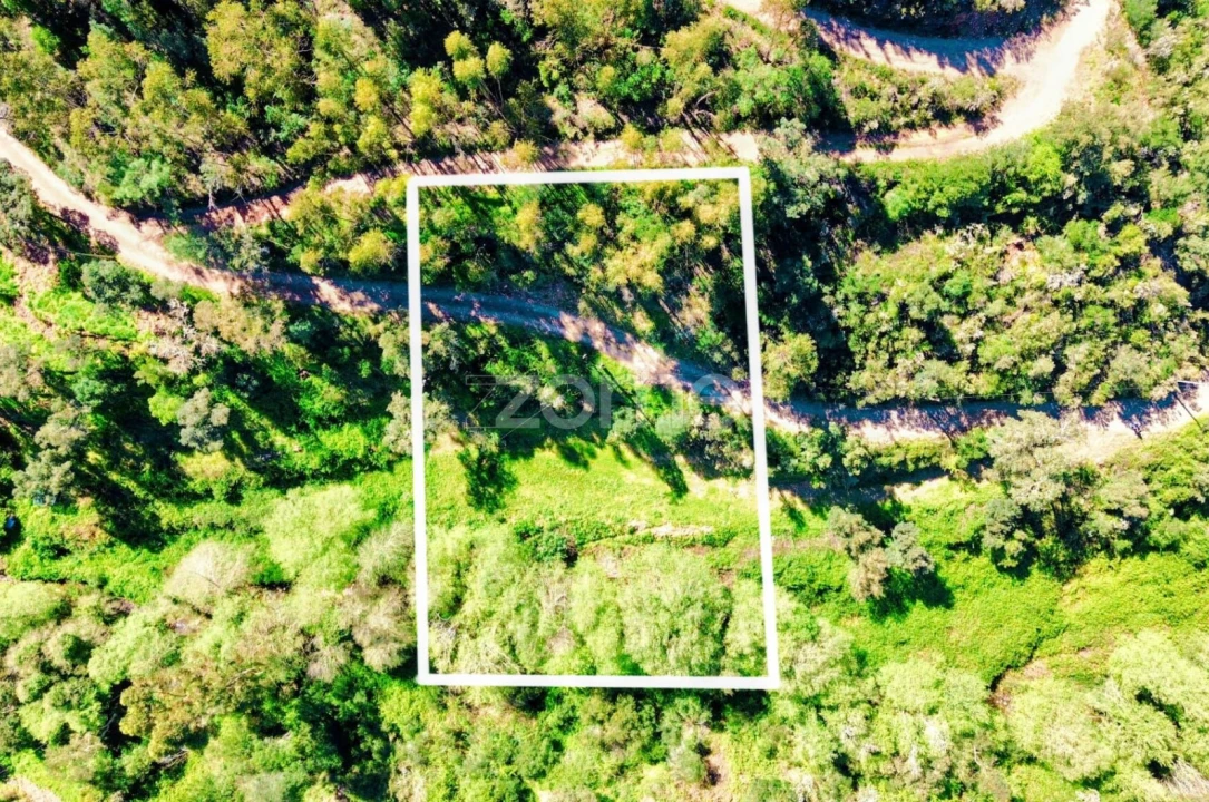 Terreno para Venda em Monchique Foto 7