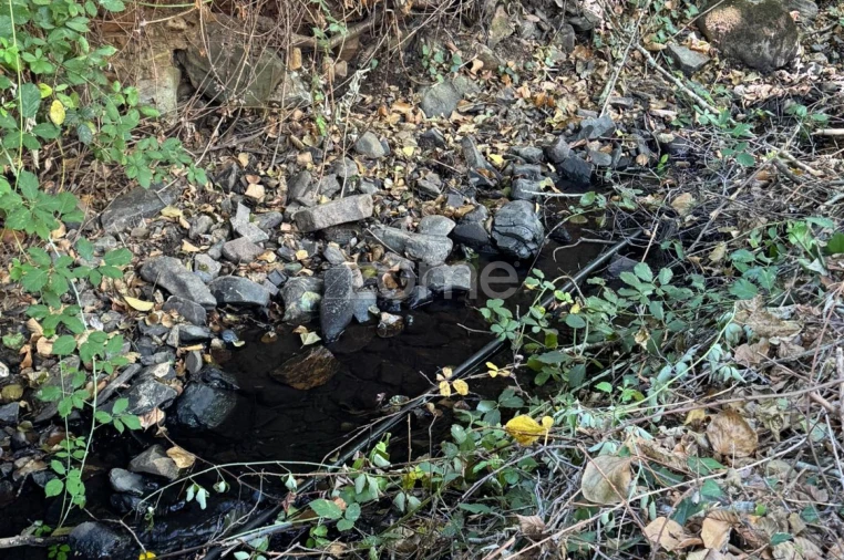 Terreno para Venda em Monchique Foto 3