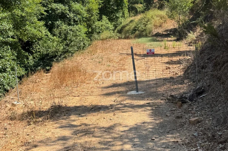 Terreno para Venda em Monchique Foto 4