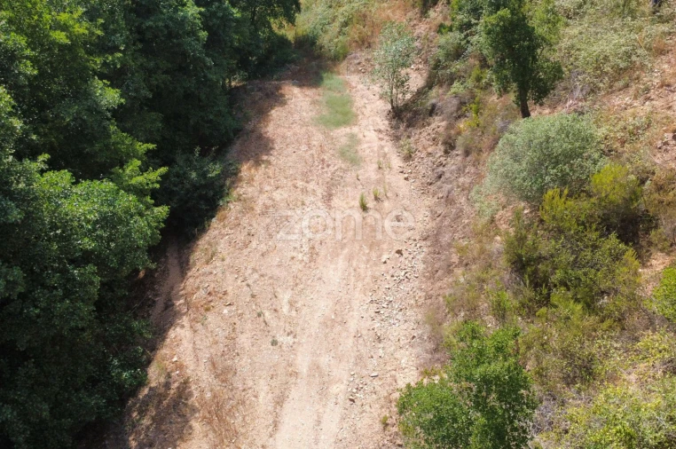 Terreno para Venda em Monchique Foto 12