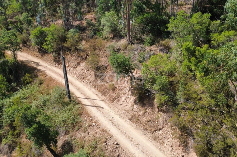 Terreno para Venda em Monchique Foto 14
