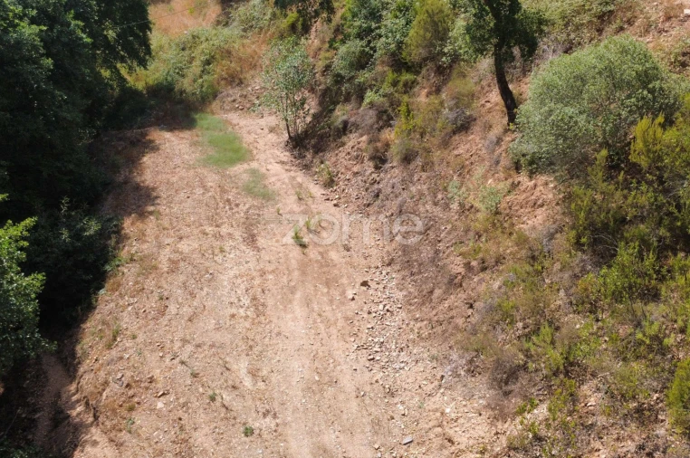 Terreno para Venda em Monchique Foto 16