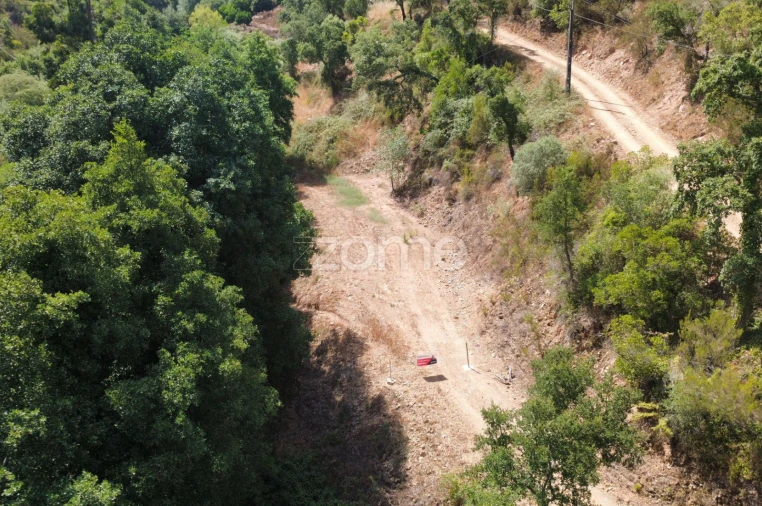 Terreno para Venda em Monchique Foto 20